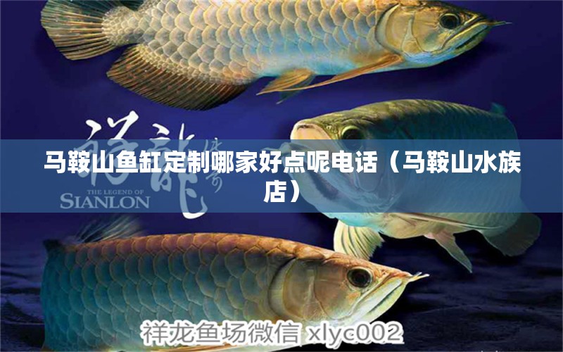 馬鞍山魚缸定制哪家好點呢電話（馬鞍山水族店） 羅漢魚批發(fā)