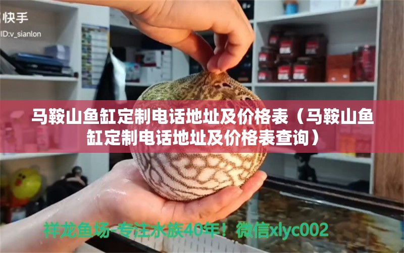 馬鞍山魚缸定制電話地址及價格表（馬鞍山魚缸定制電話地址及價格表查詢） 觀賞魚市場（混養(yǎng)魚）