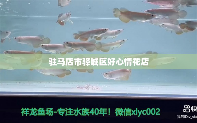 駐馬店市驛城區(qū)好心情花店 全國水族館企業(yè)名錄