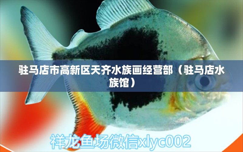 駐馬店市高新區(qū)天齊水族畫經(jīng)營部（駐馬店水族館）