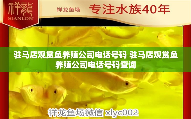 駐馬店觀賞魚養(yǎng)殖公司電話號碼 駐馬店觀賞魚養(yǎng)殖公司電話號碼查詢