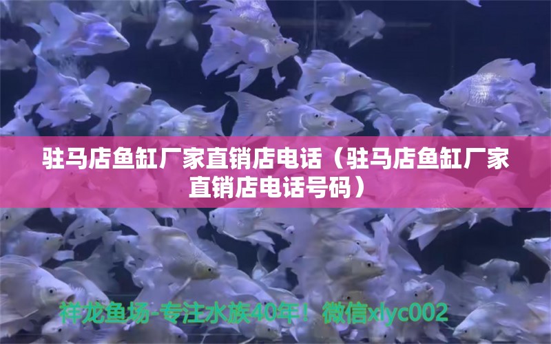 駐馬店魚缸廠家直銷店電話（駐馬店魚缸廠家直銷店電話號(hào)碼） 祥龍魚場(chǎng)