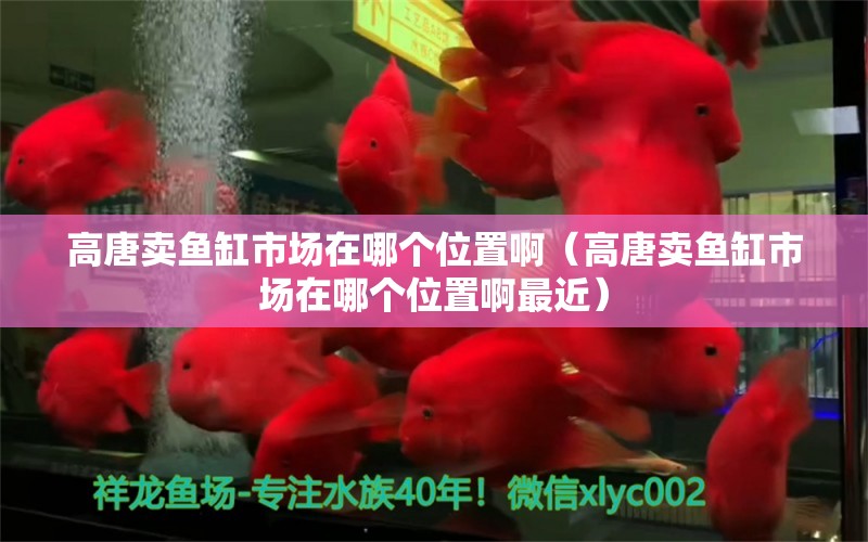 高唐賣魚缸市場在哪個(gè)位置?。ǜ咛瀑u魚缸市場在哪個(gè)位置啊最近）