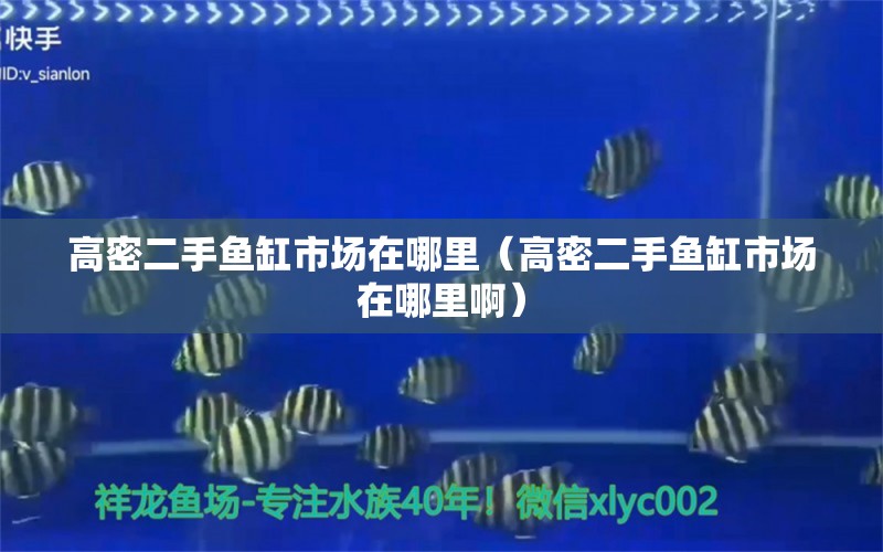 高密二手魚缸市場在哪里（高密二手魚缸市場在哪里?。?赤荔鳳冠魚