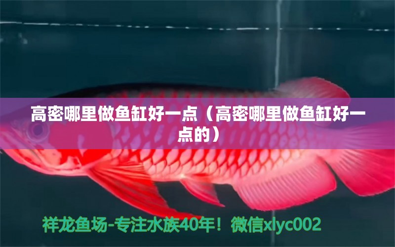 高密哪里做魚(yú)缸好一點(diǎn)（高密哪里做魚(yú)缸好一點(diǎn)的）