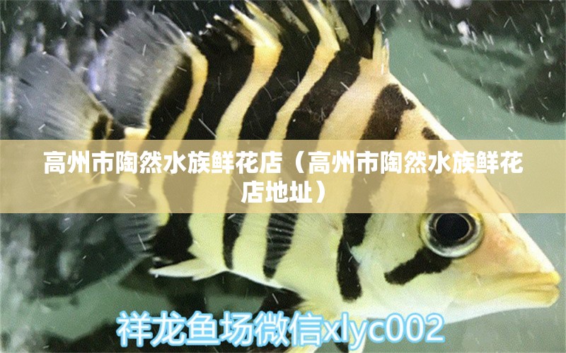 高州市陶然水族鮮花店（高州市陶然水族鮮花店地址）