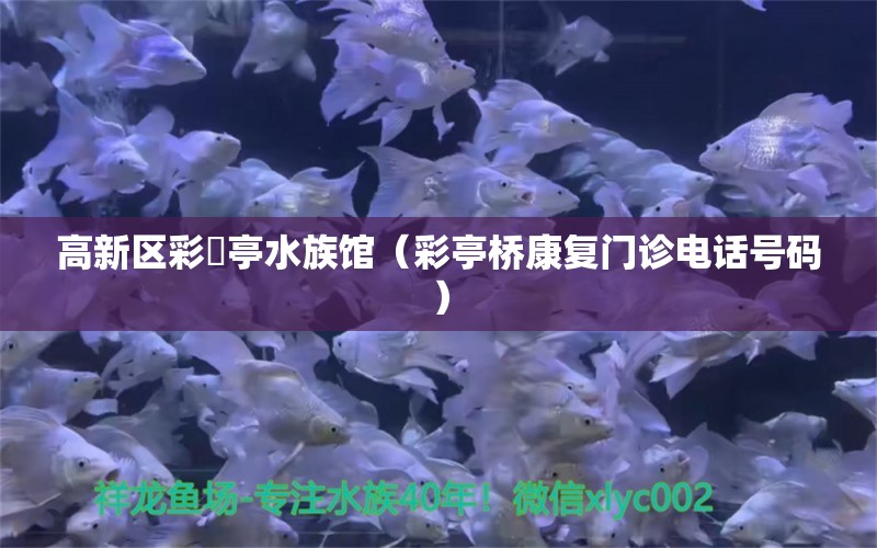 高新區(qū)彩魟亭水族館（彩亭橋康復(fù)門(mén)診電話號(hào)碼）