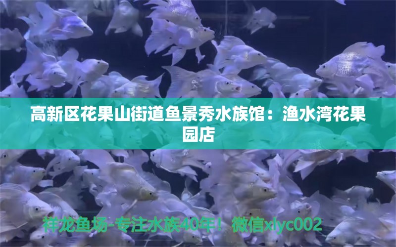 高新區(qū)花果山街道魚(yú)景秀水族館：漁水灣花果園店