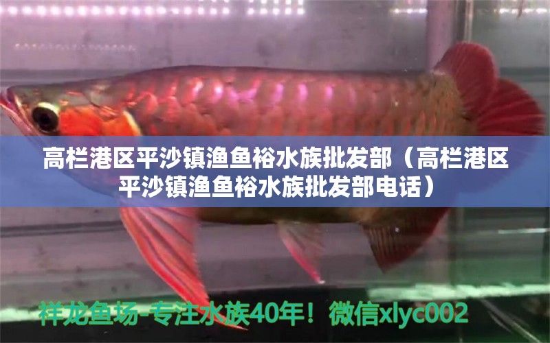 高欄港區(qū)平沙鎮(zhèn)漁魚裕水族批發(fā)部（高欄港區(qū)平沙鎮(zhèn)漁魚裕水族批發(fā)部電話） 全國水族館企業(yè)名錄