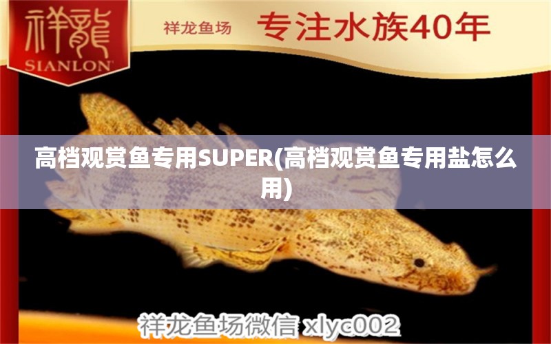 高檔觀賞魚專用SUPER(高檔觀賞魚專用鹽怎么用) 垂釣樂園