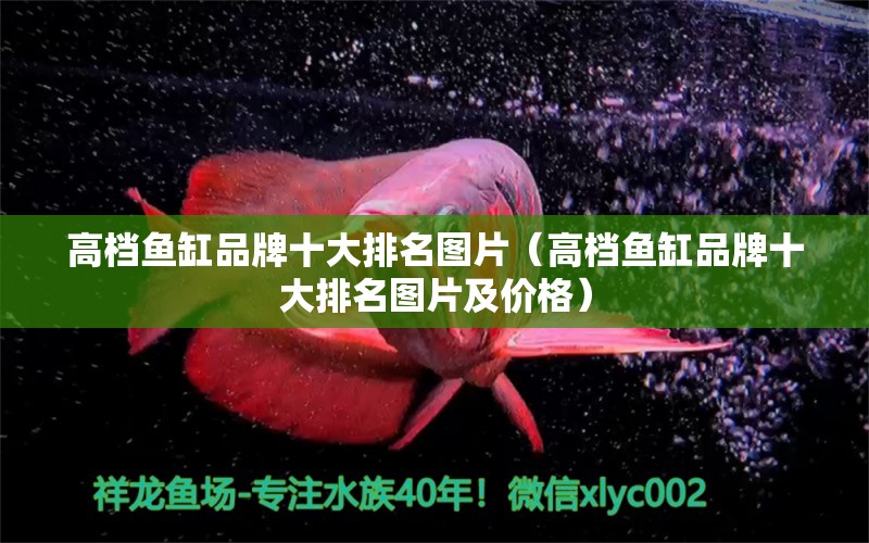 高檔魚缸品牌十大排名圖片（高檔魚缸品牌十大排名圖片及價(jià)格）