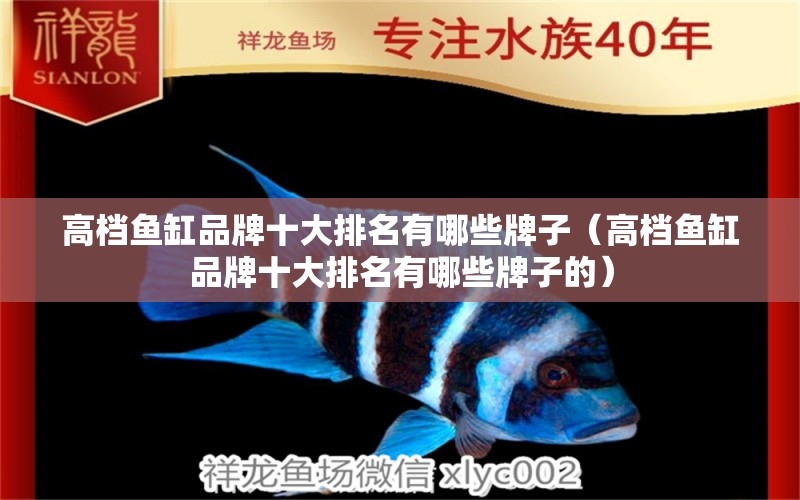 高檔魚缸品牌十大排名有哪些牌子（高檔魚缸品牌十大排名有哪些牌子的）