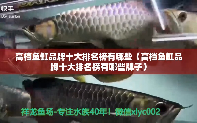 高檔魚缸品牌十大排名榜有哪些（高檔魚缸品牌十大排名榜有哪些牌子）