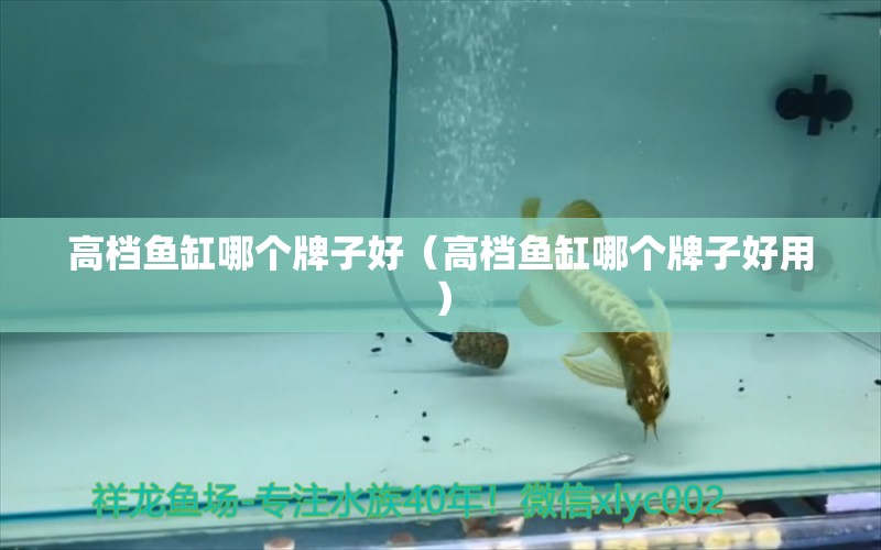 高檔魚缸哪個牌子好（高檔魚缸哪個牌子好用）