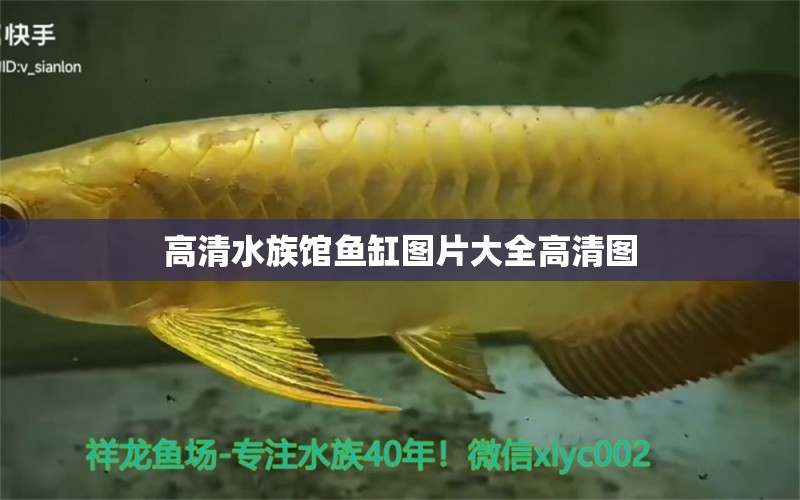 高清水族館魚缸圖片大全高清圖 水族世界