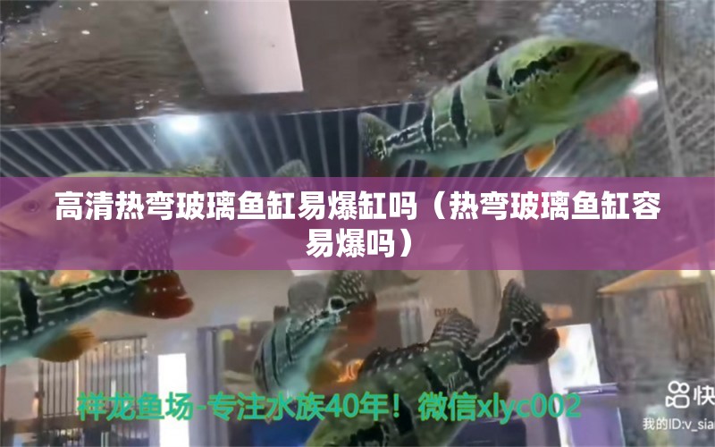 高清熱彎玻璃魚缸易爆缸嗎（熱彎玻璃魚缸容易爆嗎） 祥龍水族醫(yī)院