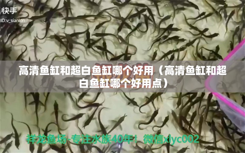 高清魚缸和超白魚缸哪個(gè)好用（高清魚缸和超白魚缸哪個(gè)好用點(diǎn)） 孵化器