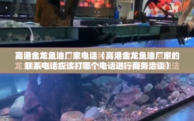 高港金龍魚油廠家電話（高港金龍魚油廠家的聯(lián)系電話應(yīng)該打哪個電話進行商務(wù)洽談） 水族問答 第1張