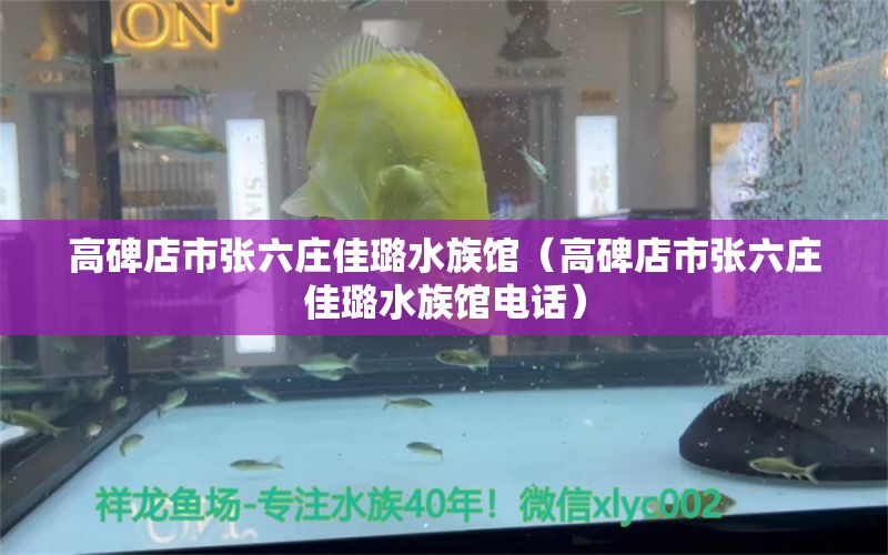 高碑店市張六莊佳璐水族館（高碑店市張六莊佳璐水族館電話） 全國水族館企業(yè)名錄