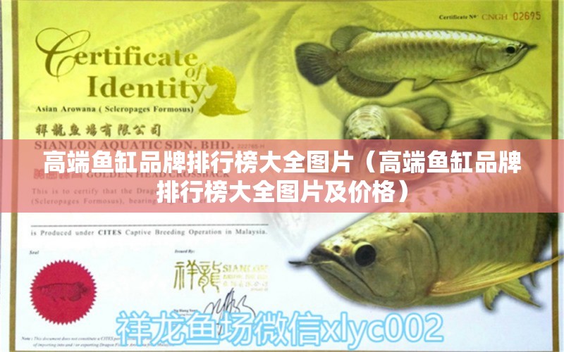 高端魚缸品牌排行榜大全圖片（高端魚缸品牌排行榜大全圖片及價(jià)格） 量子養(yǎng)魚技術(shù)