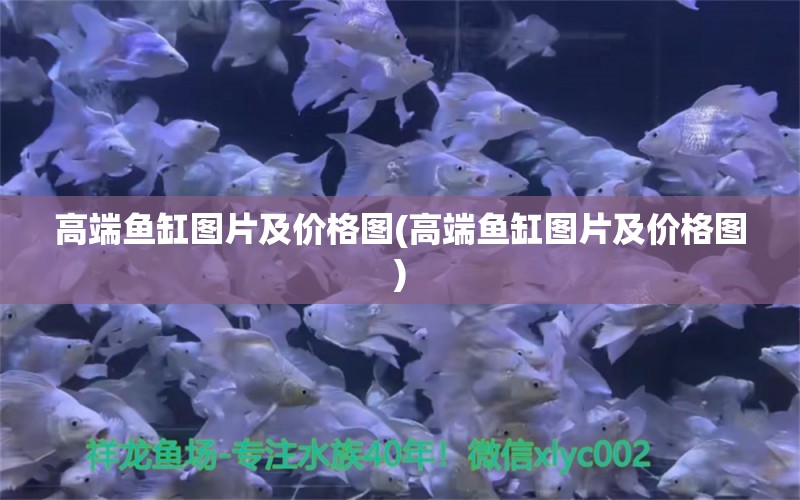 高端魚缸圖片及價格圖(高端魚缸圖片及價格圖) 水族品牌 第1張