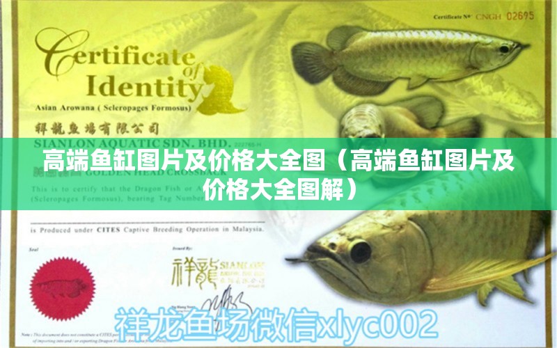 高端魚缸圖片及價格大全圖（高端魚缸圖片及價格大全圖解）