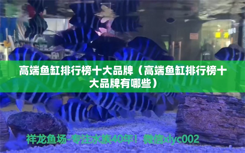 高端魚缸排行榜十大品牌（高端魚缸排行榜十大品牌有哪些）