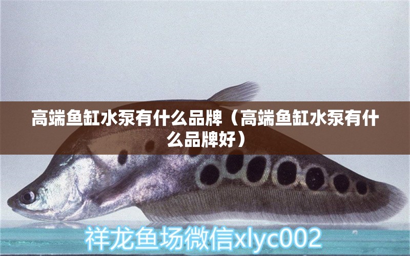 高端魚缸水泵有什么品牌（高端魚缸水泵有什么品牌好）