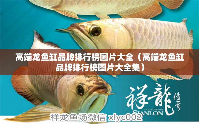 高端龍魚(yú)缸品牌排行榜圖片大全（高端龍魚(yú)缸品牌排行榜圖片大全集）