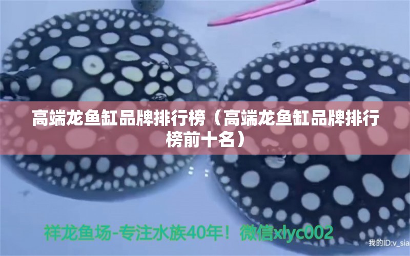 高端龍魚缸品牌排行榜（高端龍魚缸品牌排行榜前十名） 其他品牌魚缸