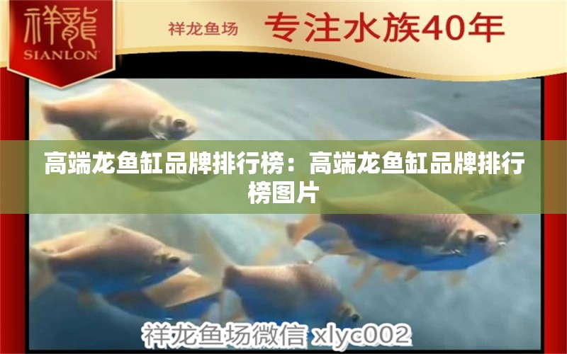 高端龍魚(yú)缸品牌排行榜：高端龍魚(yú)缸品牌排行榜圖片