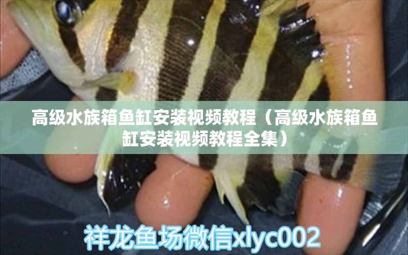 高級水族箱魚缸安裝視頻教程（高級水族箱魚缸安裝視頻教程全集）