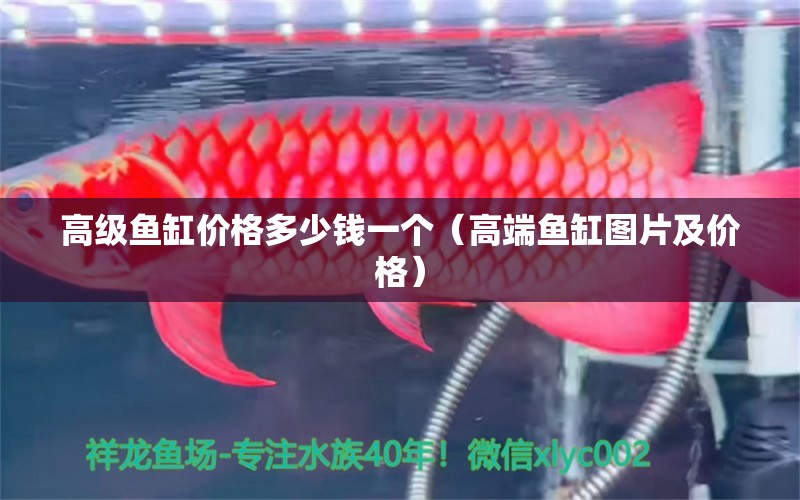 高級(jí)魚缸價(jià)格多少錢一個(gè)（高端魚缸圖片及價(jià)格）