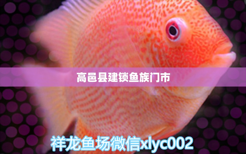 高邑縣建鎖魚族門市 全國水族館企業(yè)名錄