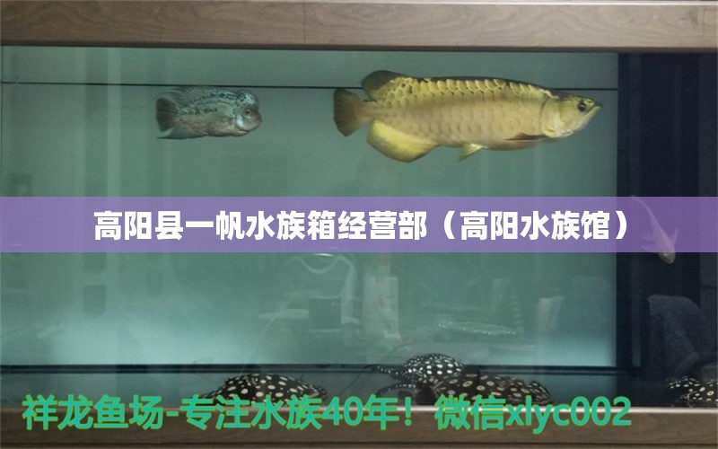 高陽(yáng)縣一帆水族箱經(jīng)營(yíng)部（高陽(yáng)水族館） 魚缸/水族箱