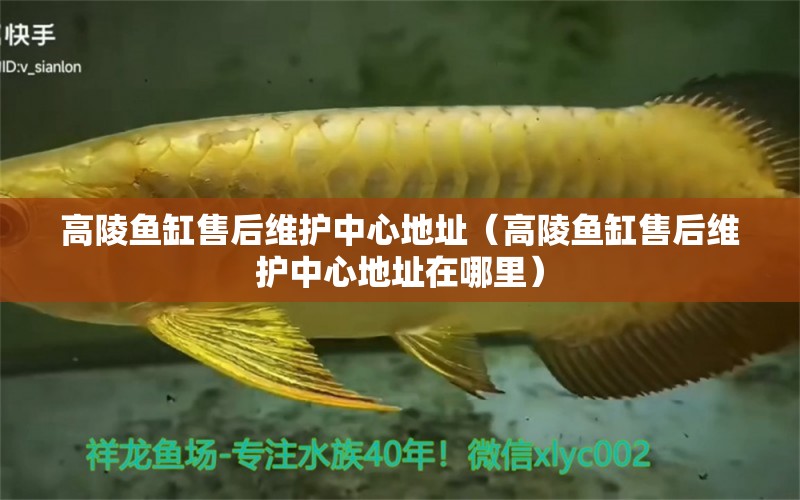 高陵魚缸售后維護(hù)中心地址（高陵魚缸售后維護(hù)中心地址在哪里）