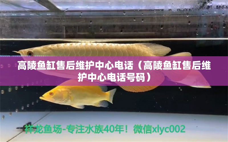 高陵魚(yú)缸售后維護(hù)中心電話（高陵魚(yú)缸售后維護(hù)中心電話號(hào)碼）