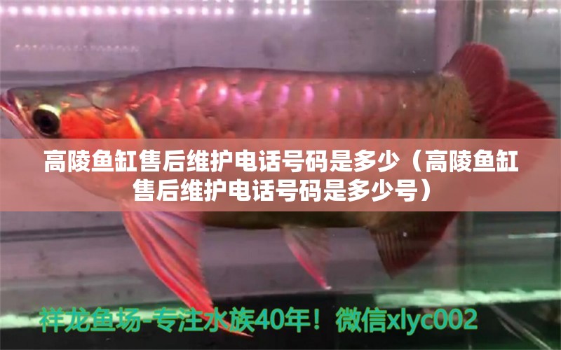 高陵魚缸售后維護(hù)電話號(hào)碼是多少（高陵魚缸售后維護(hù)電話號(hào)碼是多少號(hào)）