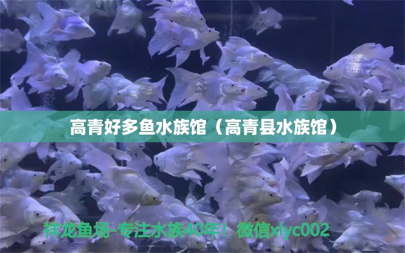 高青好多魚水族館（高青縣水族館） 全國水族館企業(yè)名錄