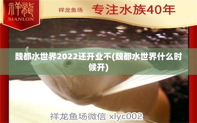 魏都水世界2022還開業(yè)不(魏都水世界什么時候開) 綠皮辣椒小紅龍