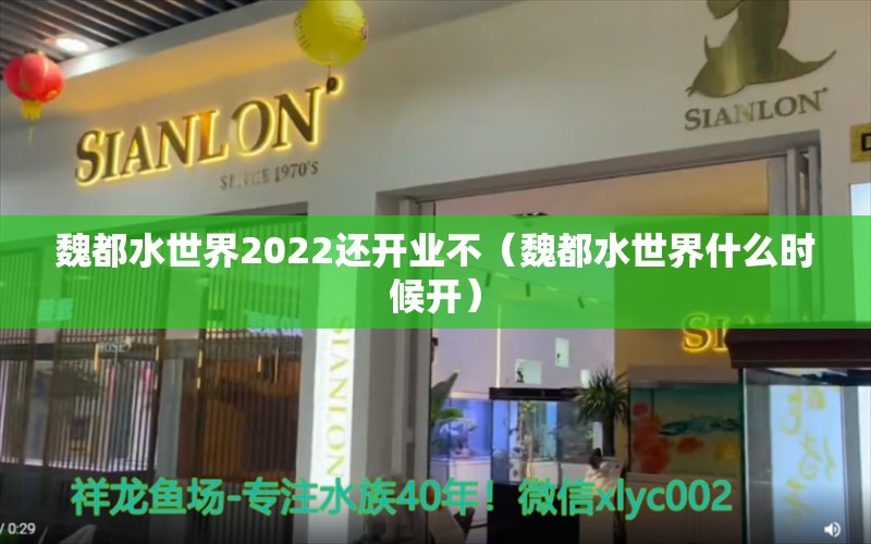 魏都水世界2022還開業(yè)不（魏都水世界什么時候開） 金老虎魚