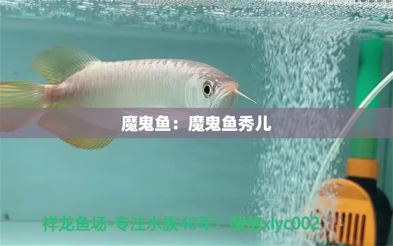 魔鬼魚：魔鬼魚秀兒