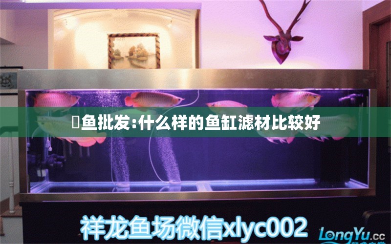 魟魚(yú)批發(fā):什么樣的魚(yú)缸濾材比較好