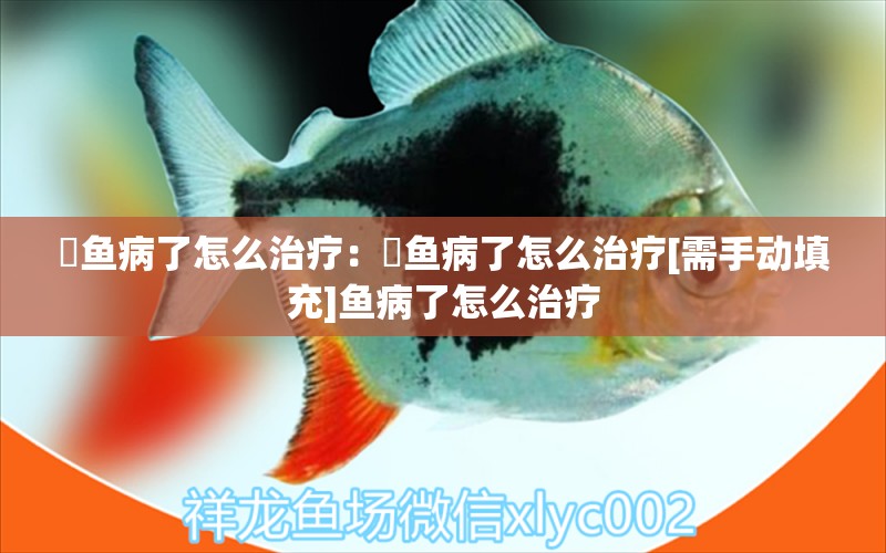 魟魚病了怎么治療：魟魚病了怎么治療[需手動(dòng)填充]魚病了怎么治療 魟魚百科 第2張