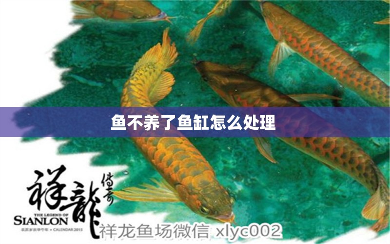 魚不養(yǎng)了魚缸怎么處理 