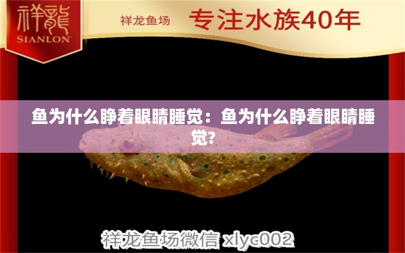 魚為什么睜著眼睛睡覺：魚為什么睜著眼睛睡覺?