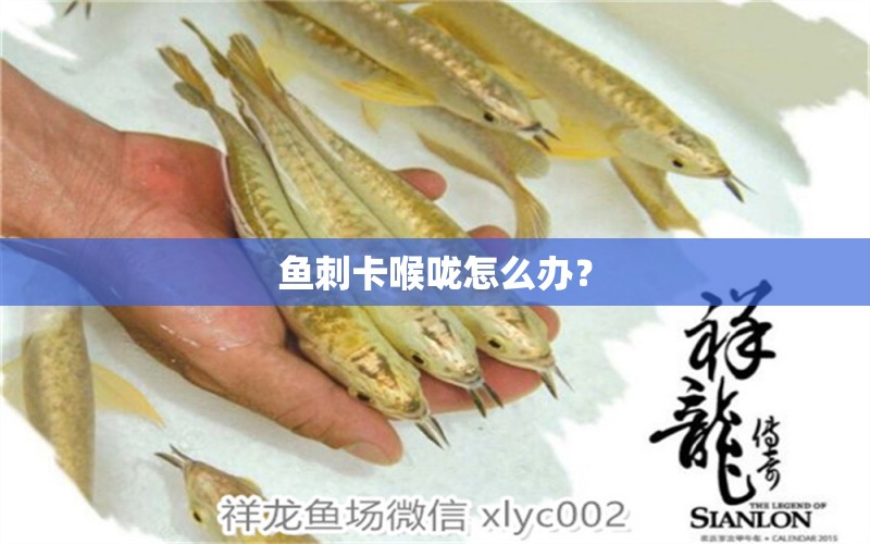 魚(yú)刺卡喉嚨怎么辦？ 潛水艇魚(yú)