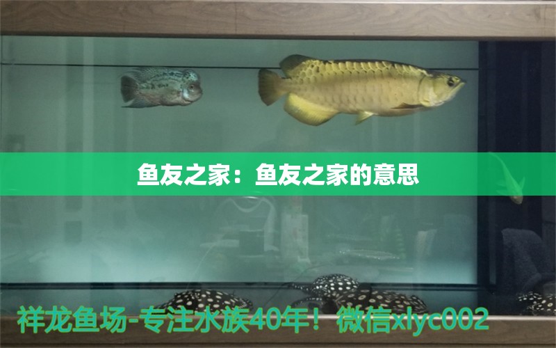 魚友之家：魚友之家的意思