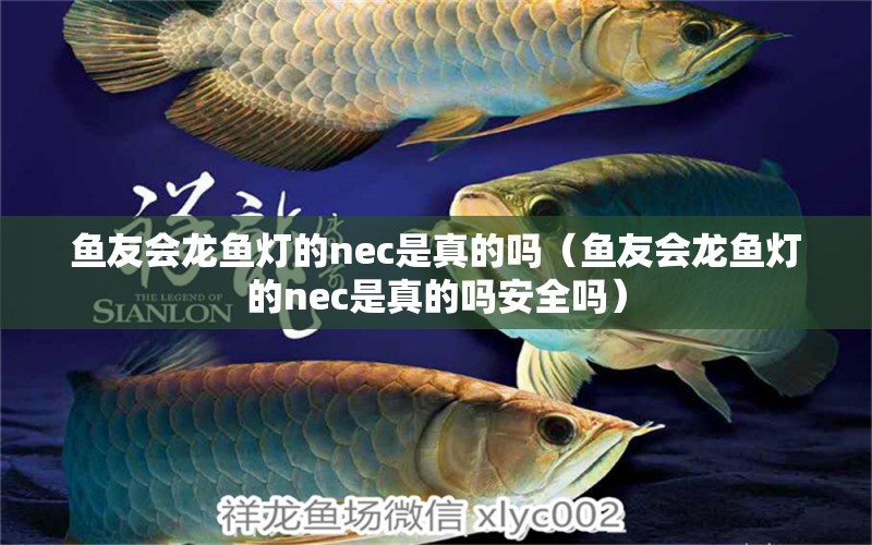 魚友會(huì)龍魚燈的nec是真的嗎（魚友會(huì)龍魚燈的nec是真的嗎安全嗎）