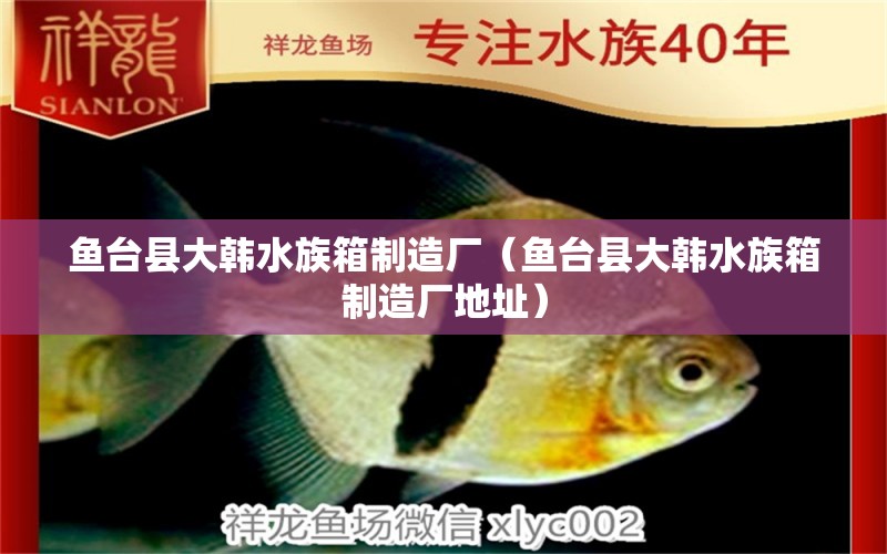 魚(yú)臺(tái)縣大韓水族箱制造廠（魚(yú)臺(tái)縣大韓水族箱制造廠地址） 魚(yú)缸/水族箱